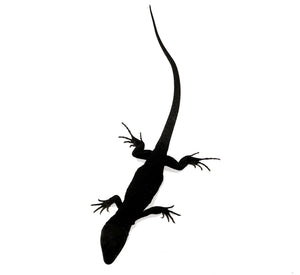 Black Phase Ocellated Lizard #BPOL01