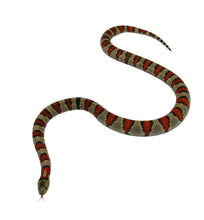 Load image into Gallery viewer, Durango Mountain Kingsnake
