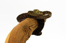 Load image into Gallery viewer, Garden Phase Tree Boa #GPATBUJ02
