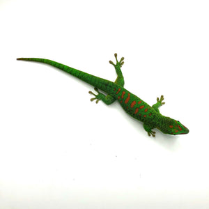 Madagascar Giant Day Gecko #MGDGJL01